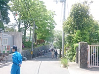 kwZƎQ