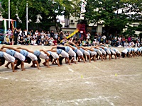 Ȃct^